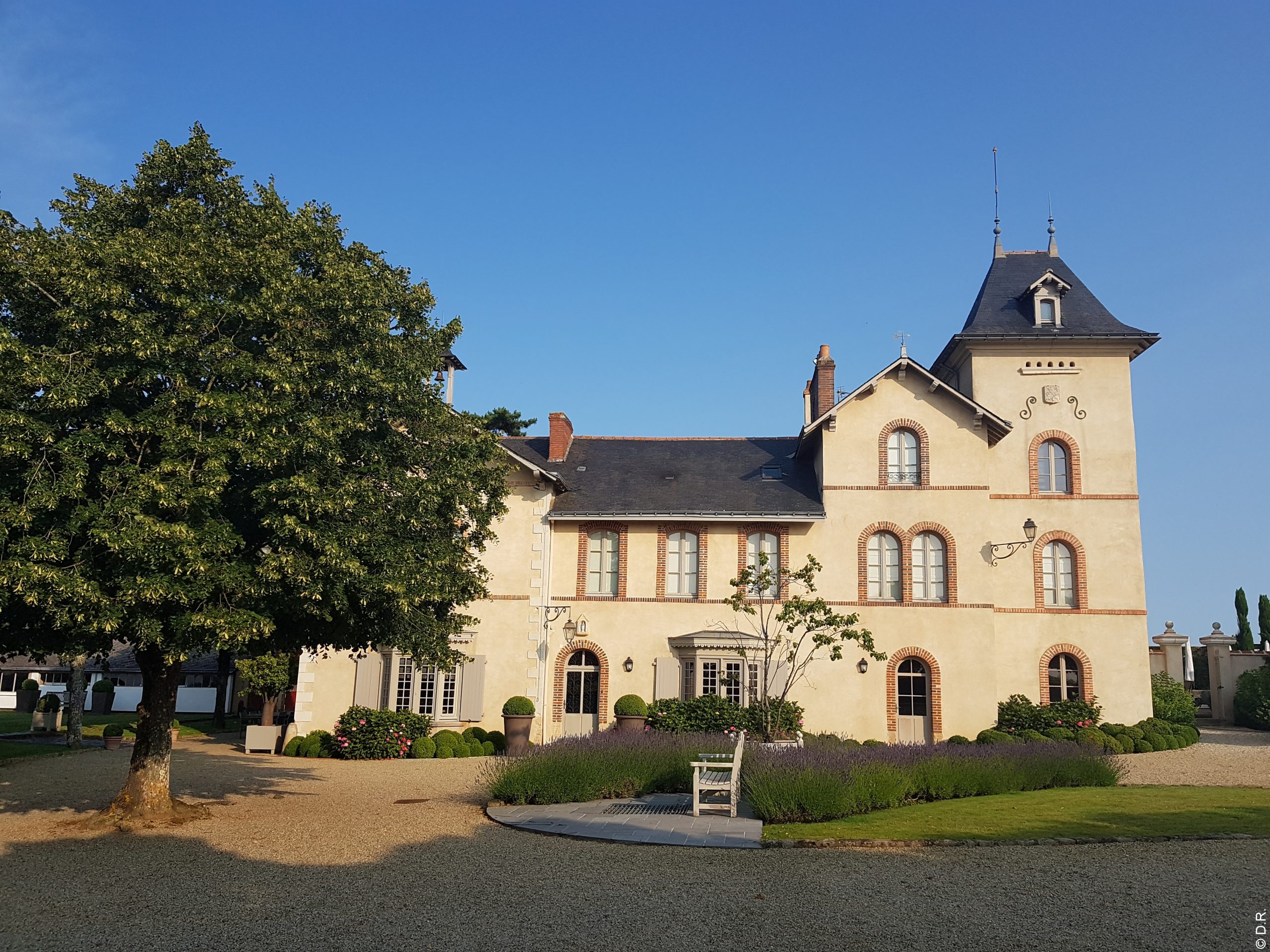 Château Soucherie : un vignoble d’exception