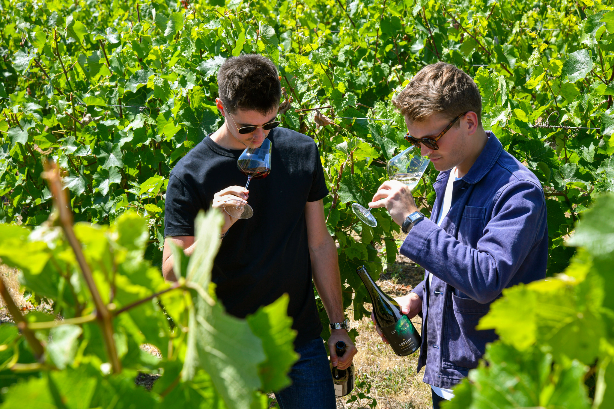 FLOWINE, à la découverte des vins du monde